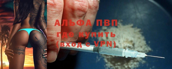 молекула духа Арсеньев