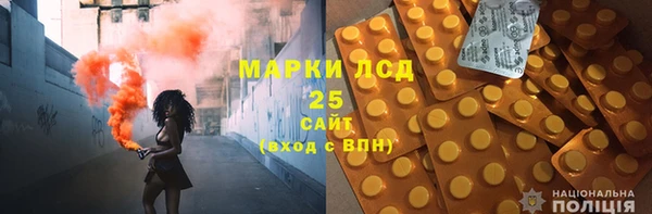 шишки Армянск