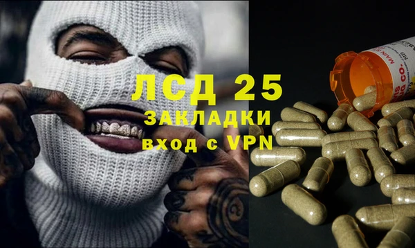 шишки Армянск