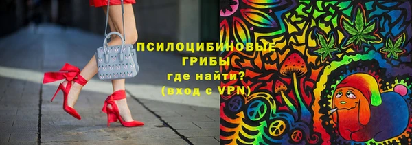 ПСИЛОЦИБИНОВЫЕ ГРИБЫ Аркадак