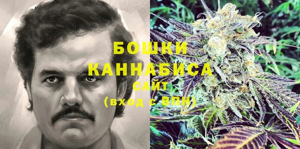 шишки Армянск