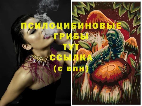 шишки Армянск