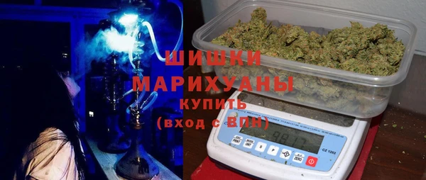 молекула духа Арсеньев