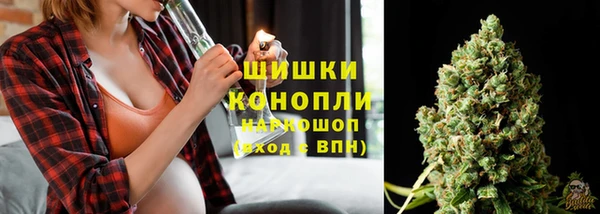 молекула духа Арсеньев